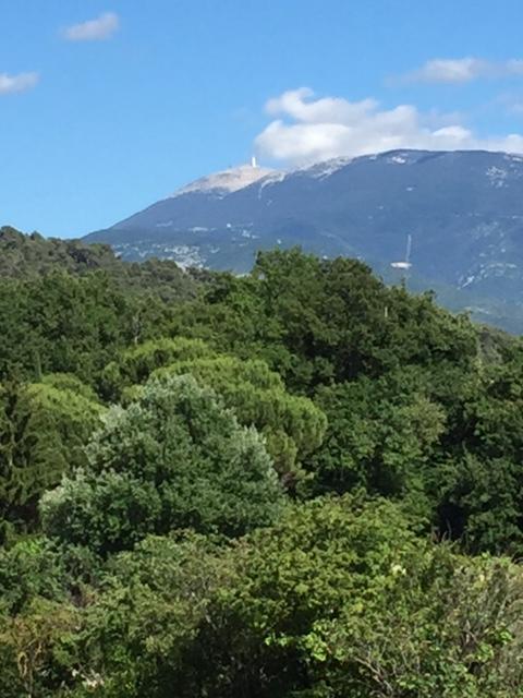 Villa Les Granges Vaison Saint-Marcellin-lès-Vaison Dış mekan fotoğraf